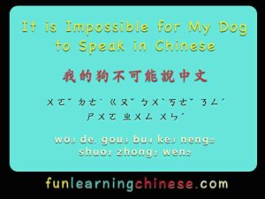 it-is-impossible-for-my-dog-to-speak-in-chinese